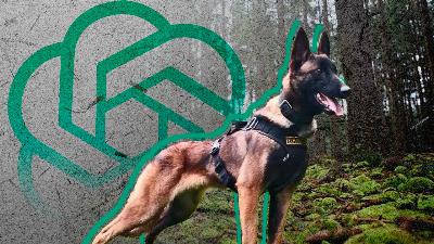 Cela aurait pu arriver avec le chien Wilson, selon l'intelligence artificielle