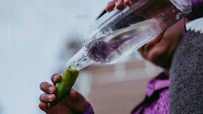 Dégustation de mezcal, étape par étape comment boire cette boisson ancienne