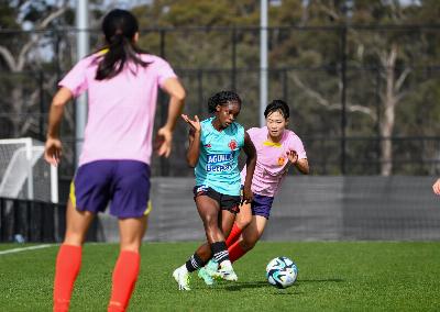 Coupe du monde féminine 2023 : comment soutenir les joueuses de TikTok