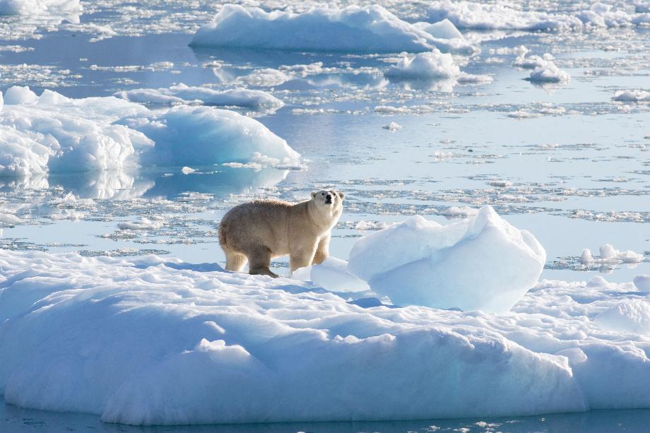 Accès gratuit aux ressources de la NASA pour étudier le changement climatique. ARCHIVE. REUTERS CETTE IMAGE A ÉTÉ FOURNIE PAR UN TIERS/File Photo