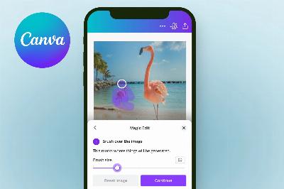 Canva : cinq outils pour créer du contenu sur les réseaux sociaux