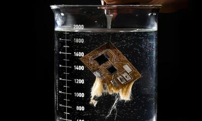 Ils créent des circuits électriques qui se dissolvent dans l'eau et sont fabriqués avec des plantes