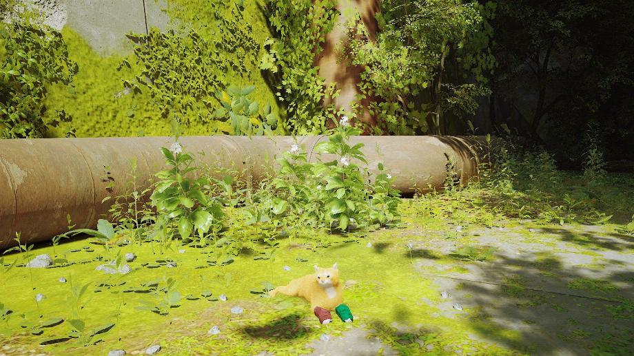 Les premières captures d'écran du mod Tater Tot dans le jeu vidéo Stray (Facebook Tater Tot et Spudbuds)