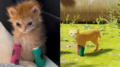Un hommage vidéoludique au chat viral : Tater Tot parcourt désormais les rues cyberpunk de Stray