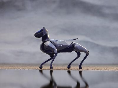 En vidéo : CyberDog 2, un chien robot doté d'une intelligence artificielle très similaire à celui que nous avons à la maison