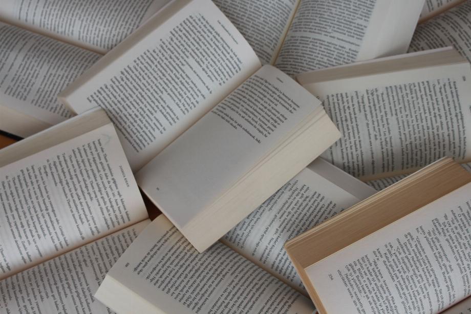 La plateforme a eu tort de supprimer 15 des 19 livres. (Déséclabousser)