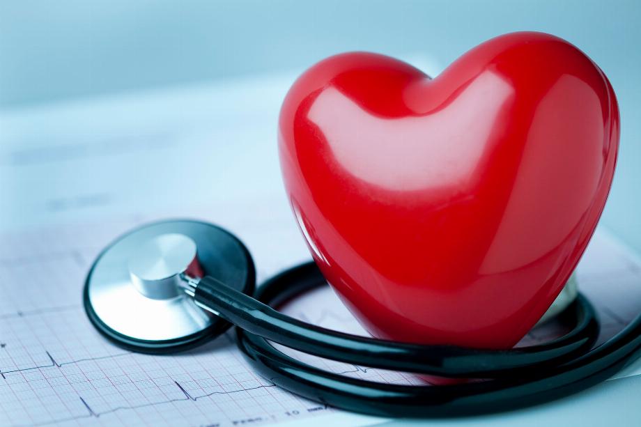 Les images échographiques cardiaques analysées par l'IA sont aussi efficaces que l'utilisation d'une échographie typique opérée par un expert pour mesurer l'action de pompage du cœur, affirment les chercheurs.