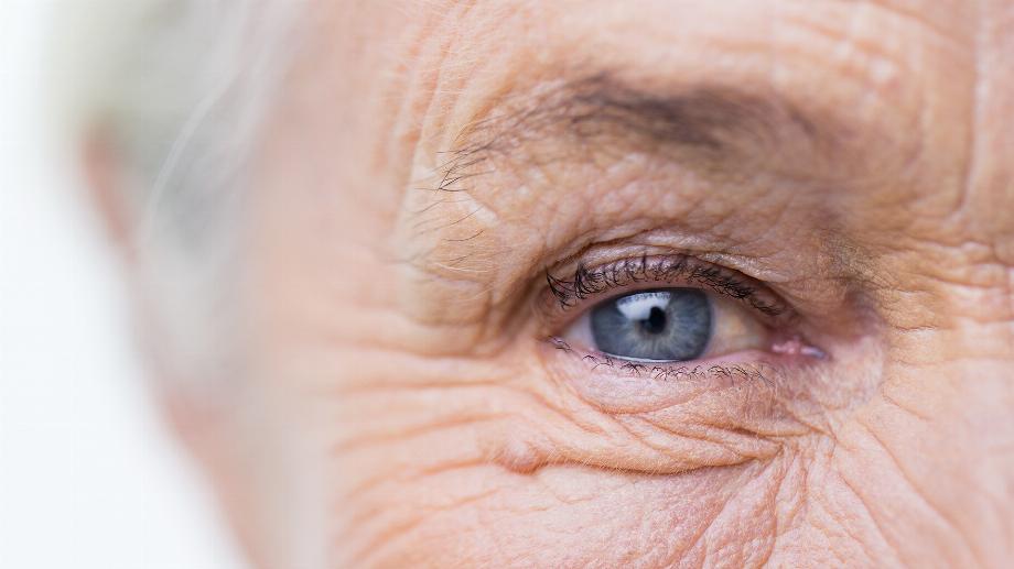 L'âge biologique peut être un reflet plus précis de notre santé que l'âge chronologique