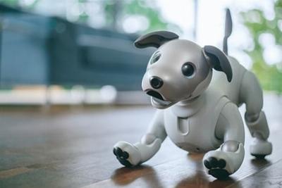 L’adoption de chiens robots dotés d’intelligence artificielle commence