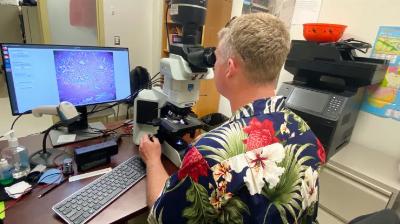 Google développe un microscope doté d'intelligence artificielle avec le Pentagone pour aider à détecter le cancer
