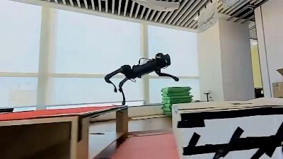 En vidéo : des chiens robots font du parkour dans un but propre aux humains