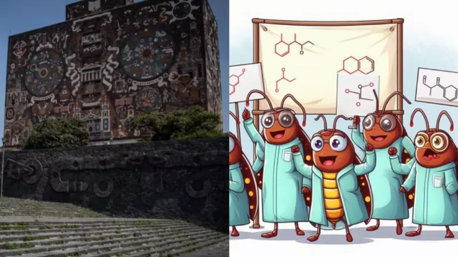 unam mèmes de punaises de lit (Cuartoscuro/Twitter)