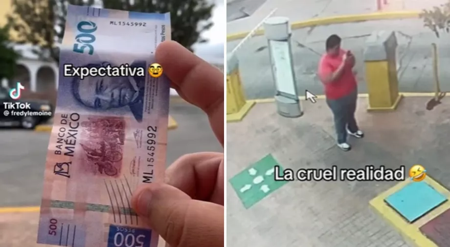 Les utilisateurs de TikTok ont été déçus lorsqu'ils ont découvert la vérité derrière les vidéos de Fredy Lemoine (Capture d'écran)