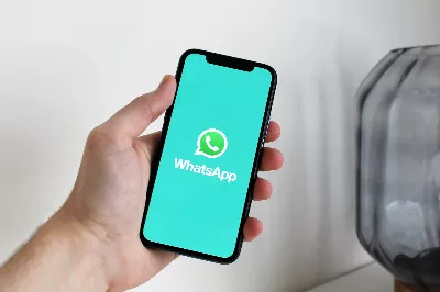 WhatsApp empêchera les autres de voir notre position pendant un appel