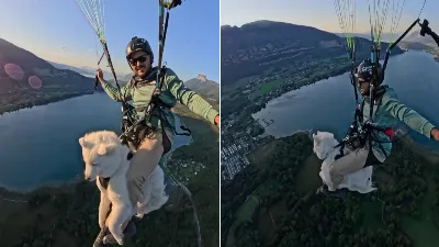 "Il y a des limites" : un TikToker a sauté avec son chien en parachute et a été critiqué sur les réseaux