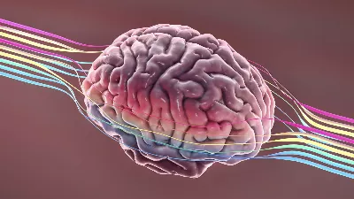 Intuitions de l'intelligence artificielle et sa capacité à lire dans les pensées