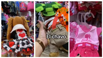Halloween 2023 : quelle est la rue du Centre de CDMX où se trouvent des costumes pour chiens à partir de 35 pesos