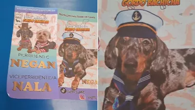 Il est allé voter et a désigné ses chiens comme candidats avec des bulletins de vote qu'il a laissés dans la pièce sombre.