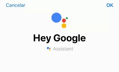 La fonctionnalité Google Assistant demandera si les appels reçus sont urgents