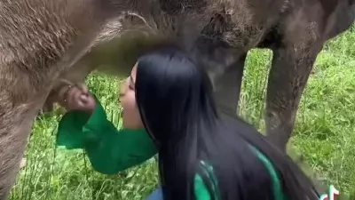 Une femme est devenue virale après avoir bu du lait de vache directement du pis