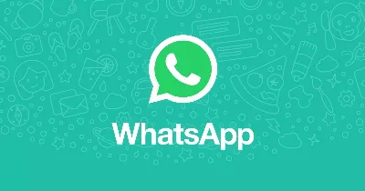 WhatsApp est désormais vert : c'est la nouvelle mise à jour pour iPhone