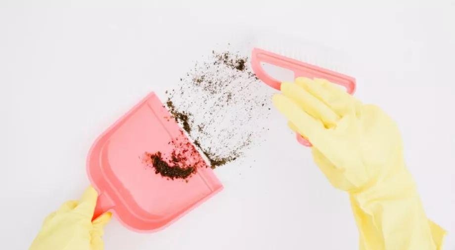 La quinceañera fête ses 15 ans avec une attitude positive envers les cadeaux particuliers (Freepik)