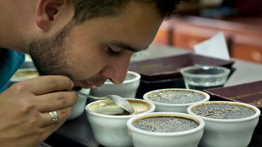 Le modèle a été formé à l’aide d’un ensemble de données industrielles comprenant les structures moléculaires et les qualités de 5 000 substances odorantes connues.