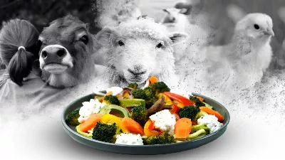 « Pourquoi ne peut-on pas manger la même chose mais sans animaux ? » : L'intelligence artificielle au service du véganisme