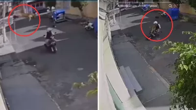 En tant que combattant ! Un chien saute du toit et s'attaque à un motocycliste