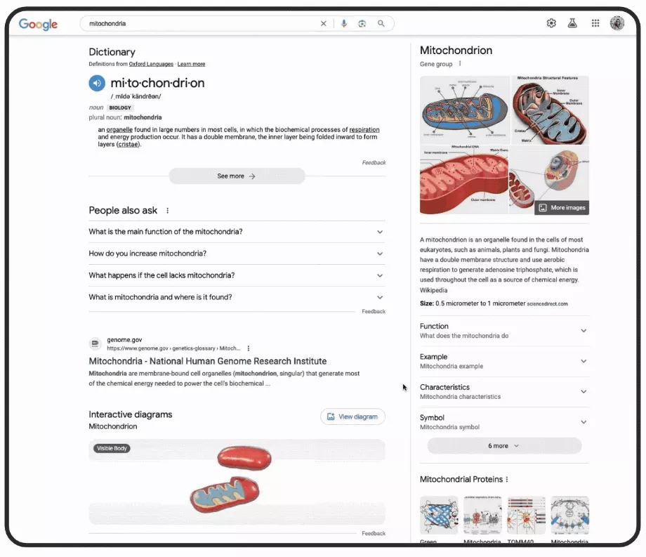 Les mises à jour sont accompagnées de modèles 3D permettant aux étudiants de voir les concepts en action. (Google)
