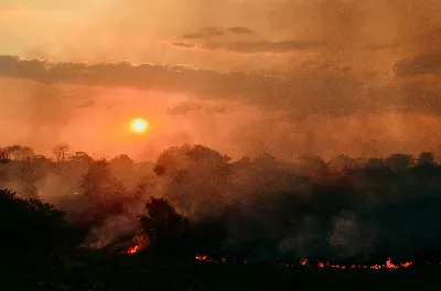 Comment ils contrôleront les incendies de forêt en Argentine grâce à la technologie