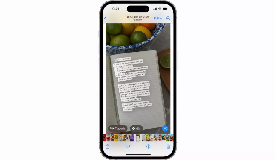 Cette option vous permet de copier le texte et de l'envoyer vers des applications telles que les e-mails et les messages. (Manzana)