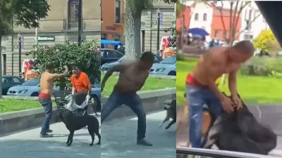 Ils ont évité la scène violente : des chiots évitent une bagarre entre deux hommes VIDEO