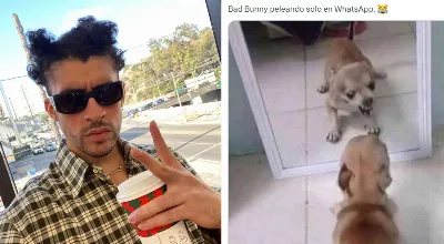 « Salgansen » : Bad Bunny explose pour l'utilisation de sa voix dans une chanson réalisée avec l'IA ; Les Mexicains répondent avec MEMES