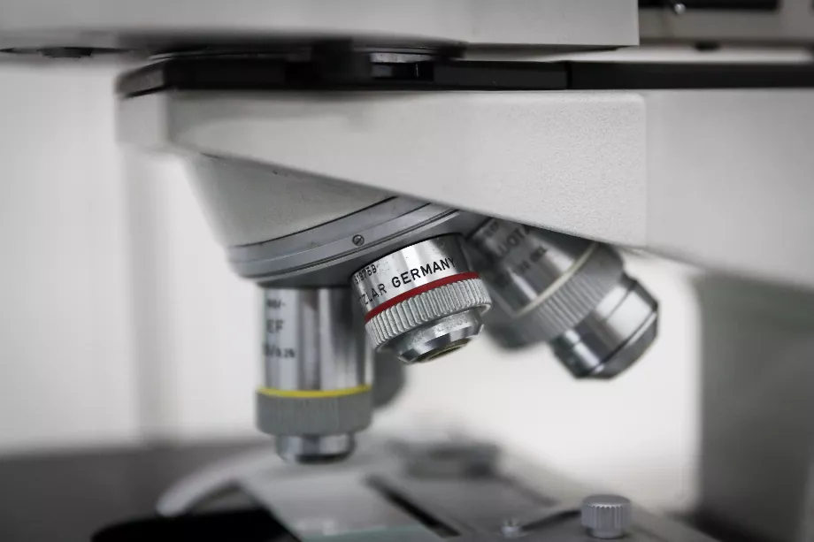 L’un des principaux obstacles à l’utilisation de l’IA pour prévenir le cancer du pancréas est le manque d’enregistrement des antécédents médicaux. (EFE/Raúl Martínez).