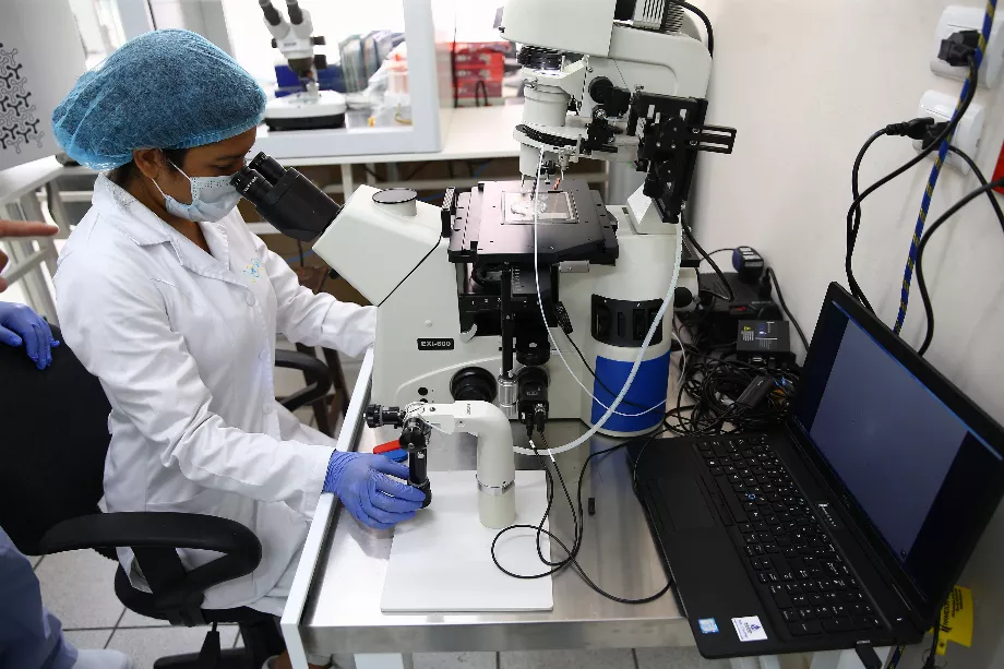 Grâce aux outils d’IA, les spécialistes peuvent détecter des tumeurs de deux centimètres chez un patient atteint d’un cancer du pancréas. (EFE/Ernesto Arias).