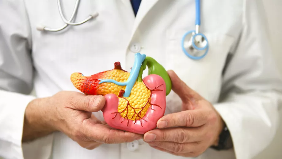 L’intervention de l’IA pour détecter le cancer du pancréas prédit même la possibilité de métastases chez les patients. (Getty Images).
