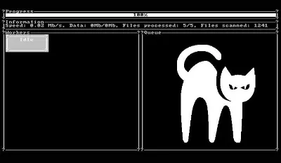L'histoire de Blackcat, le groupe de cyberattaquants qui a kidnappé des données dans le monde entier