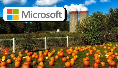 Pourquoi Microsoft a payé 76 millions de dollars pour une ferme de citrouilles