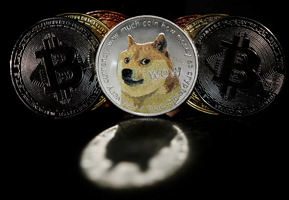 L'image d'un Shiba Inu, l'emblème emblématique du Dogecoin associé au mème 