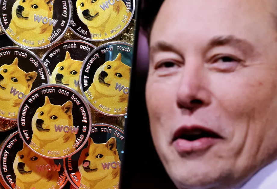 Le soutien d'Elon Musk a joué un rôle important dans la popularité et l'augmentation de la valeur du Dogecoin (REUTERS/Dado Ruvic)