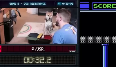 Découvrez l'histoire du chien gamer, le premier animal auquel Nintendo joue en un temps record