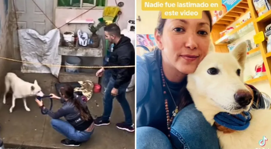 Sauvetage héroïque d'un chien maltraité à Nuevo León par deux TikTokers