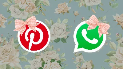 WhatsApp et Pinterest en mode coquette : comment l'activer depuis son téléphone portable