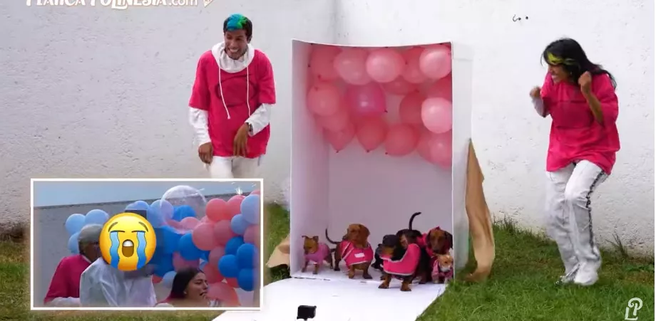 Fin novembre, sa famille a organisé une révélation de genre. Ceux chargés de révéler si son bébé serait un garçon ou une fille étaient ses frères Karen Polinesia et Rafa Polinesio.