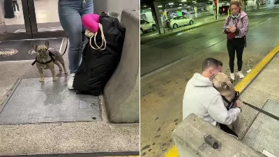 Après sept mois, il a tenu la promesse qu'il avait faite à son chien et c'est devenu viral