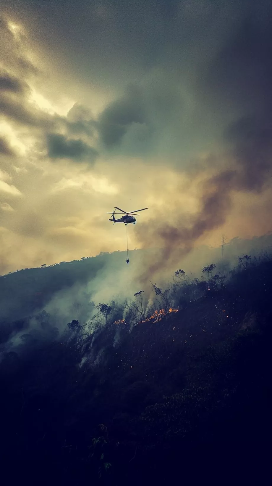 C'était l'une des images réalisées avec l'IA sur l'incendie à Bogota - crédit @Nikoleto_92/X