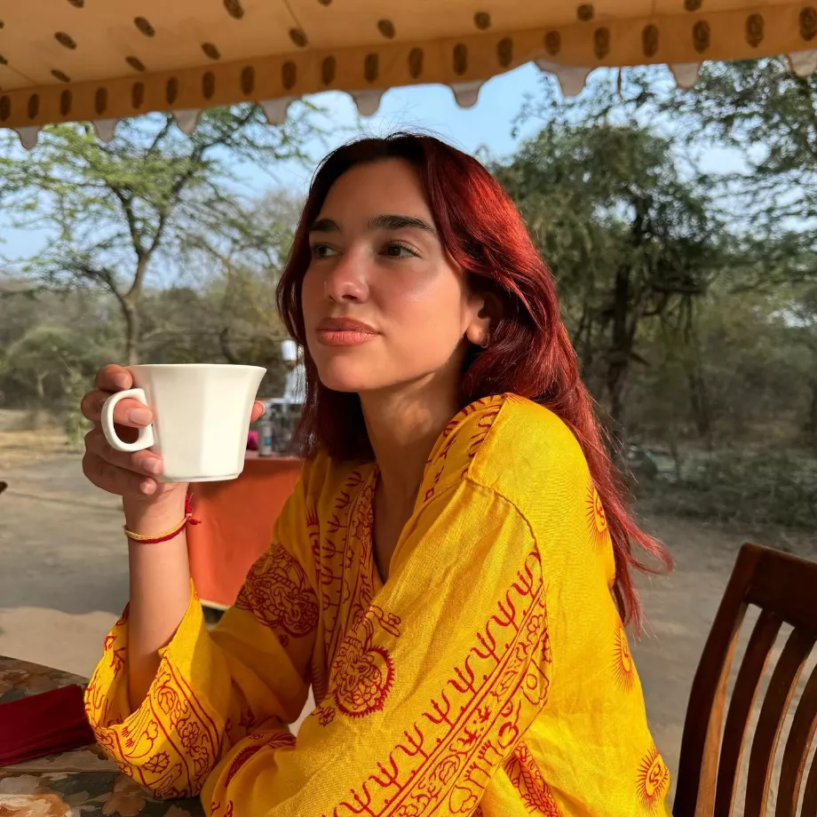 Dua Lipa compte dix millions de followers sur TikTok. (Instagram : dualipa)