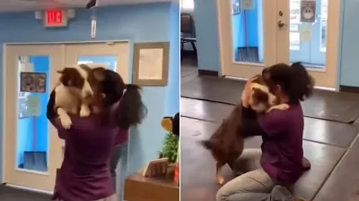 Les retrouvailles émouvantes d'un chien avec la femme qui l'a sauvé ont ému les réseaux