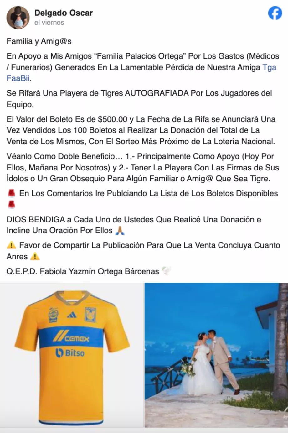 Le tirage au sort a été organisé par Óscar Delgado, un ami de Fabiola Yazmín, et vise à récolter 50 000 $. Crédit : Facebook.